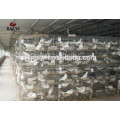 Diseño Pigeon Cage Pigeon Breeding Cage